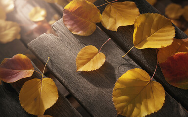 Close-Up Photograph of Golden Autumn Leaves Highlighting Texture, Veins, and Warm Fall Tones