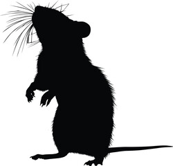 rat silhouette