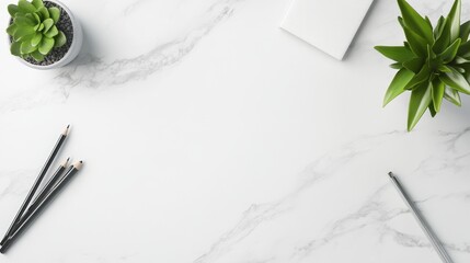 White marble desk surface with plants and pencils