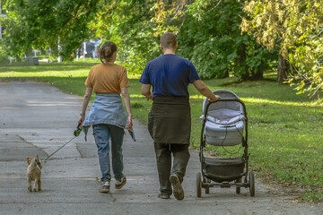 A man and a woman with a baby carriage and a dog walk along a park alley on an autumn day