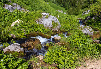 the source of the mountain river in the summer, walking along the rocky shore