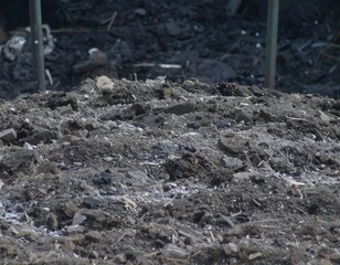 Fototapeta premium Pile of dark soil, debris, and ash