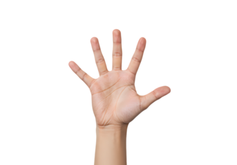 Open Palm Hand Gesture: A Detailed Close-up