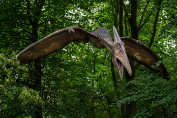 Adult Pteranodon flying with a forest in the background.  © lapis2380