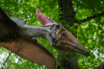Adult Pteranodon flying with a forest in the background.  © lapis2380