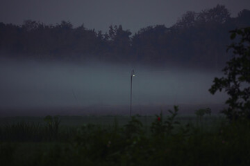 morning mist in the mountains