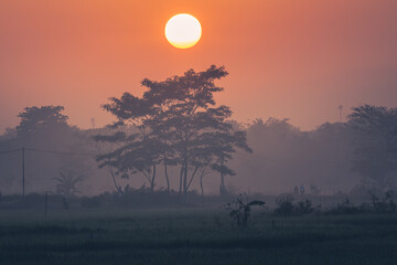 sunrise in the mountains