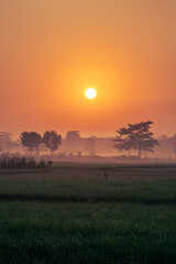 sunrise over the field