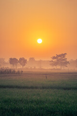 sunrise over the field