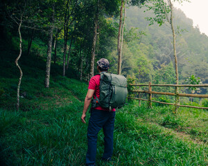 hiking in the forest