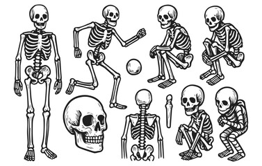 Skeleton doodle collection skull bones halloween anatomy isolated on transparent background, generative ai