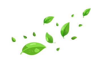Green leaves flying in the wind