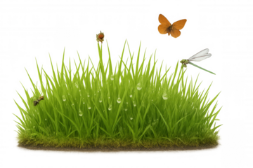 Dewy verdant grass blade hosting tiny insects including butterfly, dragonfly, ladybug, ant against transparent backdrop