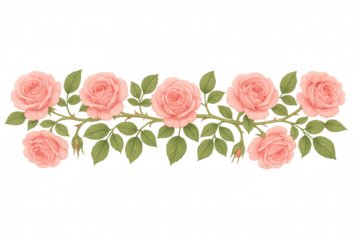 Beautiful pink roses forming a decorative garland on transparent background, ideal for wedding invitations, greeting cards, and romantic designs