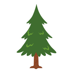 Christmas tree  vector isolated on transparent background