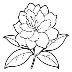  rhododendron macrophyllum line art vector on whitebackground