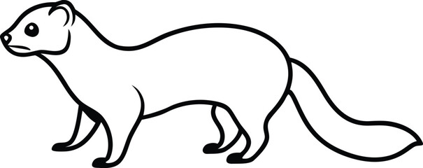 Fototapeta premium Vector art of a simple black and white line drawing of a stoat, also known as a weasel, standing on all fours with its tail extended, isolated on a