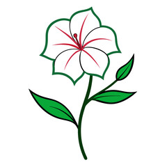 ruellia caroliniensis line art vector on white backgrpound