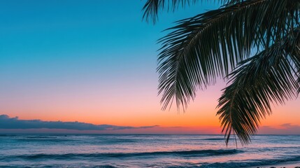 Tropical sunset over ocean with palm leaves