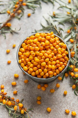 Fresh sea buckthorn berries overflowing a small metal bucket