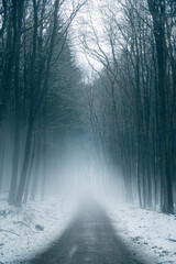 Winter in the Harz mountains