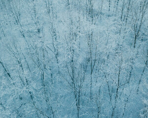 Winter in the Harz mountains