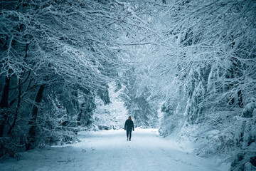 Winter in the Harz mountains