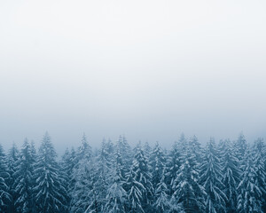 Winter in the Harz mountains