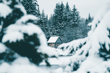 Winter in the Harz mountains