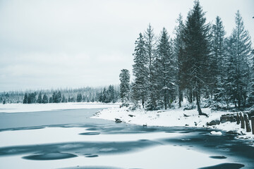 Winter in the Harz mountains