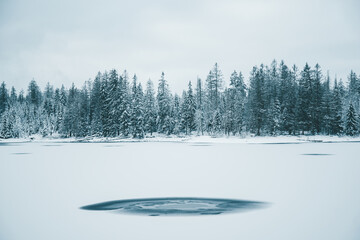 Winter in the Harz mountains