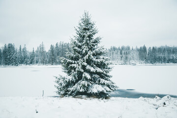 Winter in the Harz mountains