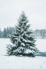 Winter in the Harz mountains