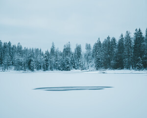 Winter in the Harz mountains