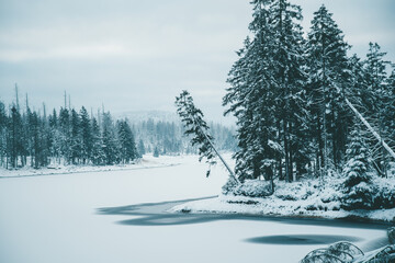 Winter in the Harz mountains