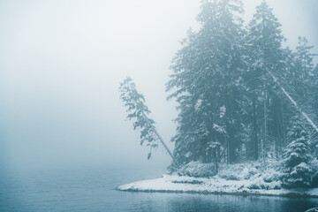Winter in the Harz mountains