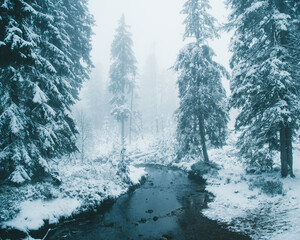 Winter in the Harz mountains