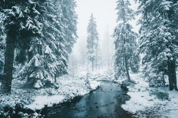 Winter in the Harz mountains