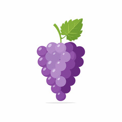 Vibrant cluster of purple grapes with a fresh green leaf, flat design vector illustration, isolated on white background