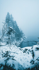 Winter in the Harz mountains