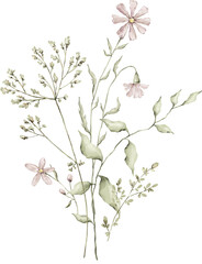 Watercolor delicate bouquet with wildflowers, plants, leaves. Floral, botanical isolated elements. Elegant ethereal nature, floral arrangement
