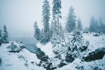 Winter in the Harz mountains