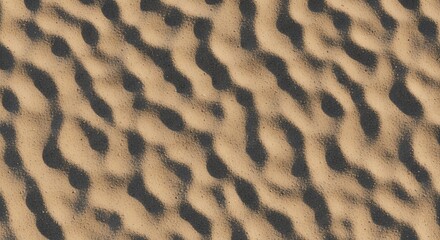 Fototapeta premium Detailed Closeup of Sandy Desert Surface with Dark Ripple Shadows under Natural Light