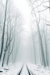 Winter in the Harz mountains