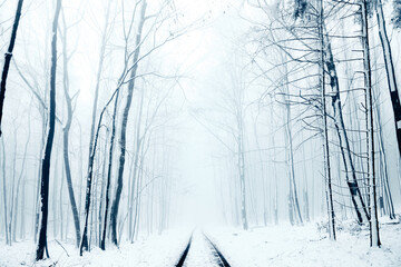 Winter in the Harz mountains