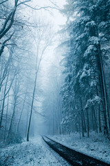 Winter in the Harz mountains