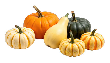Fototapeta premium Six Assorted Pumpkins and Gourds on Black Background isolated on a transparent background