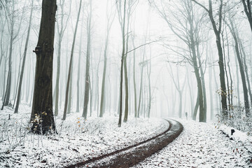 Winter in the Harz mountains