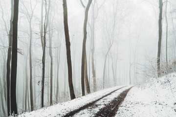 Winter in the Harz mountains
