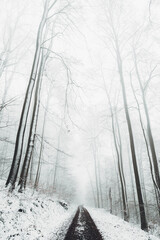 Winter in the Harz mountains